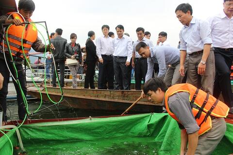 Lễ thả cá giống, tái tạo nguồn lợi thủy sản trên vùng lòng hồ thủy điện Tuyên Quang